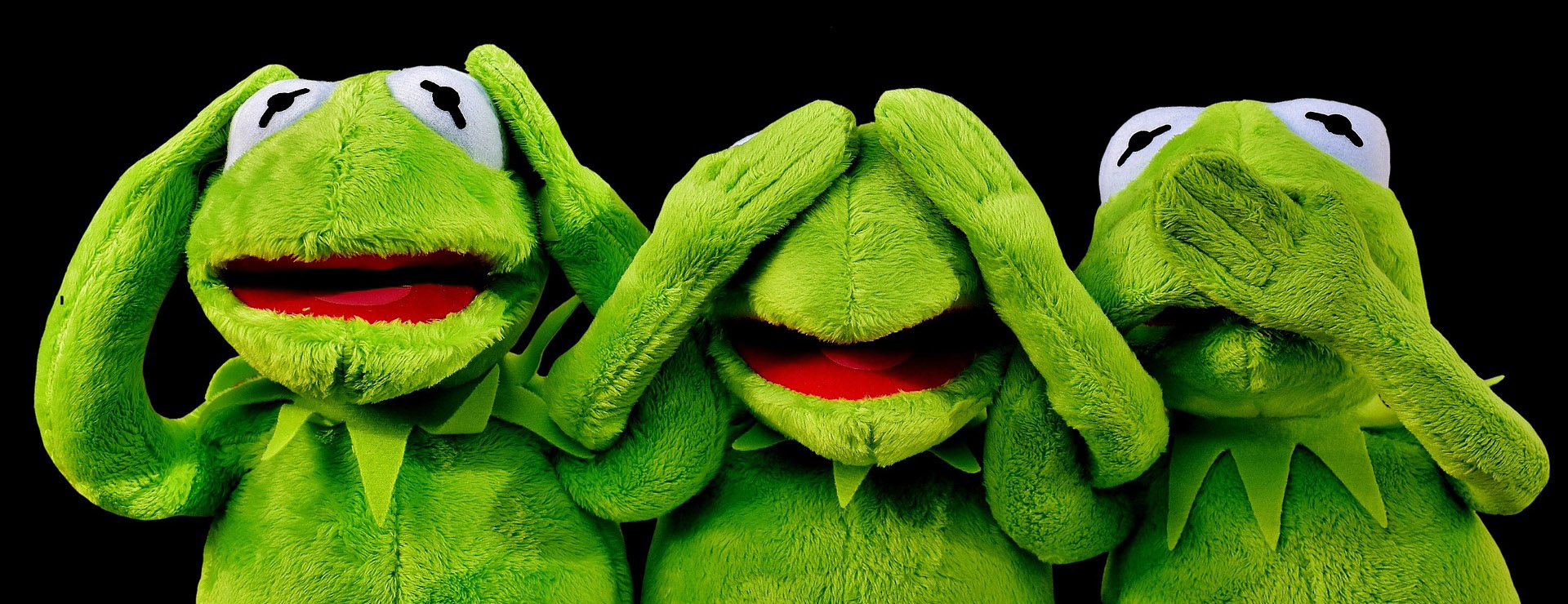 Disney 2 Disney -Disney kermit 2687975 1920